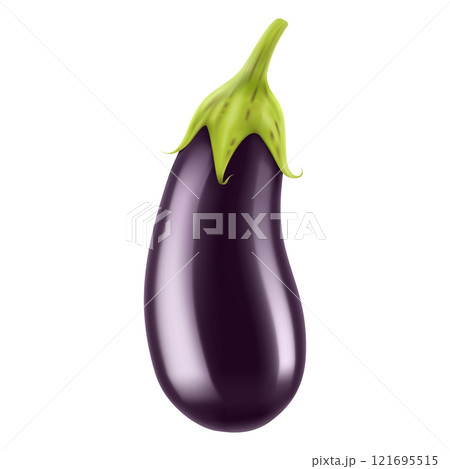 Ripe eggplant. Eggplant isolated on white background close-up. Fresh eggplant from garden. Vegetarian food. Realistic 3d vector illustration. 121695515