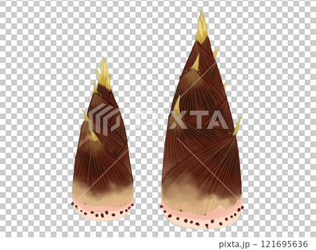 竹筍 春季蔬菜 121695636