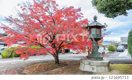 Autumn Maple and Lantern at Shinnyodo Temple, Kyoto 121695713