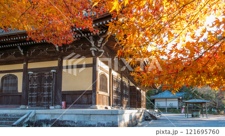 Golden Sunlight Bathes Ancient Temple in Kyoto. 121695760