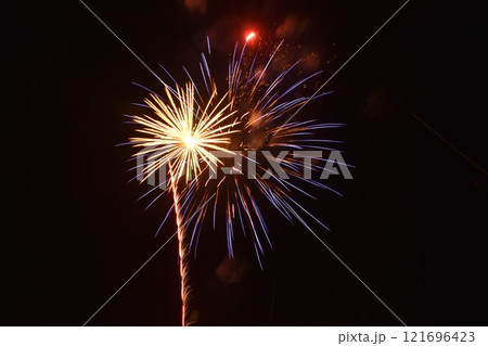 colorful celebrated fireworks bloom on dark sky in night 121696423