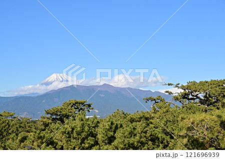 沼津港近辺から眺める富士山と松の木 121696939