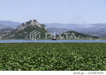 Montenegro, Skadar Lake National Park and its nature reserve. Montenegro, Skadar Lake National Park and its nature reserve. 121697424