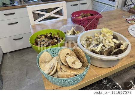 Clean and washed mushrooms in a dish. They are placed next to the stove for cooking. Mushrooms Tricholoma Portentosum and Macrolepiota procera. Clean and washed mushrooms in a dish. They are placed next to the stove for cooking. Mushrooms Tricholoma Portentosum and Macrolepiota procera. 121697578