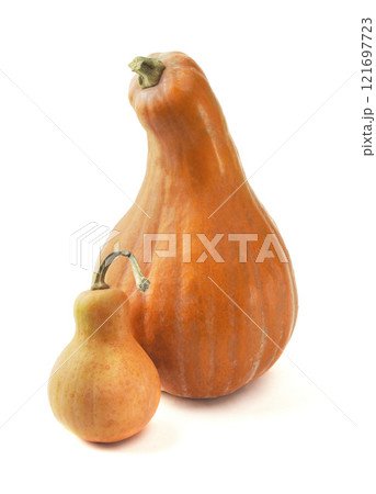 Fresh whole orange pumpkin on a white. Diet food. Pumpkin soup. Pumpkin pie. Pumpkin porridge. Autumn. Thanksgiving. 121697723