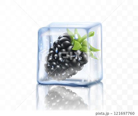 Fresh ripe blackberry in ice cube isolated on transparent background. Frozen blackberry, realistic 3d vector illustration 121697760