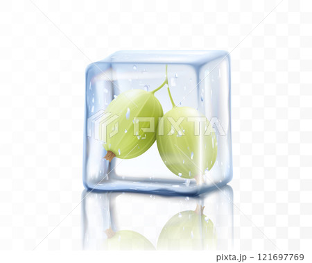 Fresh ripe gooseberry in ice cube isolated on transparent background. Frozen gooseberry berries, realistic 3d vector illustration Fresh ripe gooseberry in ice cube isolated on transparent background. Frozen gooseberry berries, realistic 3d vector illustration 121697769