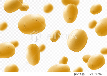 Flying potato. Falling potatoes whole isolated on transparent background, selective focus. Realistic 3d vector illustration 121697820