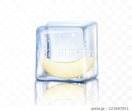 Fresh ripe melon half in ice cube isolated on transparent background. Frozen piece of melon, realistic 3d vector illustration 121697851