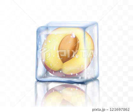Fresh ripe plum half in ice cube isolated on transparent background. Frozen sweet plum with a stone, realistic 3d vector illustration Fresh ripe plum half in ice cube isolated on transparent background. Frozen sweet plum with a stone, realistic 3d vector illustration 121697862