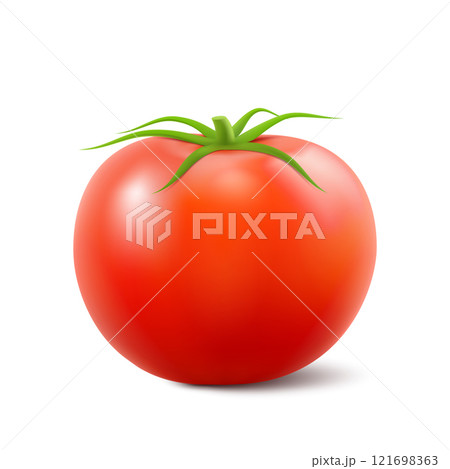 Red fresh tomato with green stem isolated on white background, side view, Print, template, design element for packaging. Realistic 3d vector illustration. Natural texture 121698363