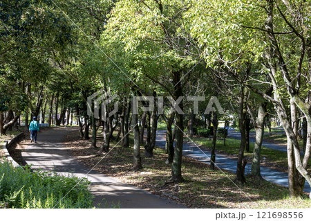 大野川自転車歩行者専用道路(大阪市西淀川区歌島) 大野川自転車歩行者専用道路(大阪市西淀川区歌島) 121698556