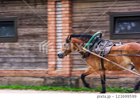 Red horse in a harness with a yoke, a shaft and an arc. 121699599