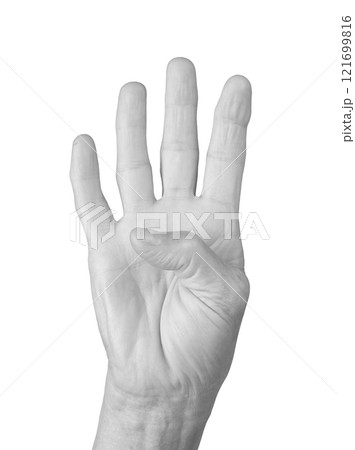 Four finger gesture. Senior woman s wrinkled hand raised with four fingers extended, including the 121699816