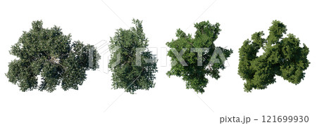 tree top view plant landscape architecture nature garden aerial render. trees branch isolate collection illustration environment green botany urban bush park. tree architecture conifer decorative. 121699930