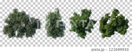 tree top view plant landscape architecture nature garden aerial render. trees branch isolate collection illustration environment green botany urban bush park. tree architecture conifer decorative. 121699930