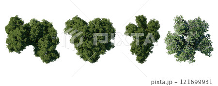 tree top view plant landscape architecture nature garden aerial render. trees branch isolate collection illustration environment green botany urban bush park. tree architecture conifer decorative. 121699931