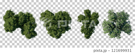tree top view plant landscape architecture nature garden aerial render. trees branch isolate collection illustration environment green botany urban bush park. tree architecture conifer decorative. 121699931