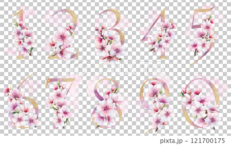 Watercolor and golden numbers with pink cherry flowers and buds, wedding sakura isolated element 121700175