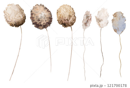 Watercolor dried rabbit's tail grass, biege tropical wedding element, Bohemian illustration Watercolor dried rabbit's tail grass, biege tropical wedding element, Bohemian illustration 121700178
