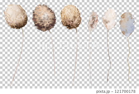 Watercolor dried rabbit's tail grass, biege tropical wedding element, Bohemian illustration Watercolor dried rabbit's tail grass, biege tropical wedding element, Bohemian illustration 121700178