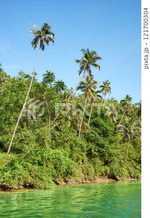 View of the Loboc river bank, one of the main destinations on Bohol Island, Philippines. 121700304