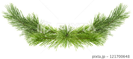 Christmas garland. from pine branches. New Year's holiday decor. Winter sale. Hello season. Forest decoration. Isolated. 121700648