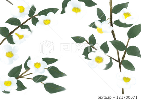 お茶の花のカード2 121700671