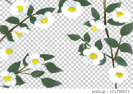 お茶の花のカード2 121700671