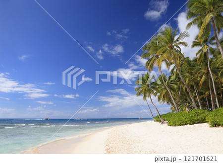 Beautiful beach on Saona Island with white sand and blue sky on the background, Dominican Republic 121701621