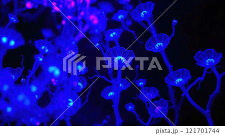 Luminous blue flowers with intricate glowing details on delicate branches against dark black background, evoking magical, otherworldly vibe 121701744