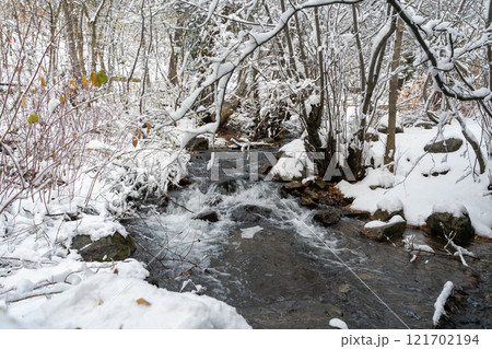 Winter Wonderland in Millcreek Canyon: Snow-Covered Stream and Forest Scene. Winter Wonderland in Millcreek Canyon: Snow-Covered Stream and Forest Scene. 121702194