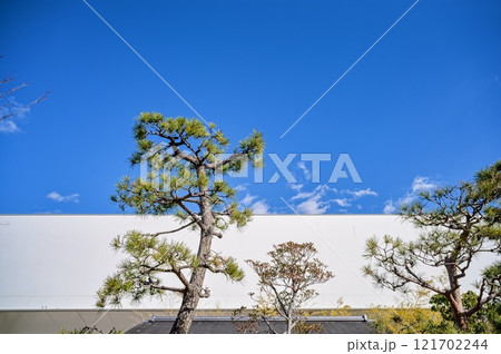屋根と空と松 121702244