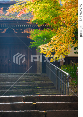 定勝寺山門の紅葉【木曽郡大桑村】 定勝寺山門の紅葉【木曽郡大桑村】 121702575