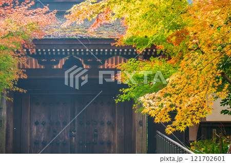 定勝寺山門の紅葉【木曽郡大桑村】 121702601