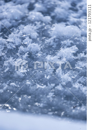 放射冷却で森に降りた霜(恩原高原周辺) 放射冷却で森に降りた霜(恩原高原周辺) 121703111