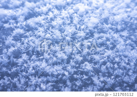 放射冷却で森に降りた霜（恩原高原周辺） 121703112