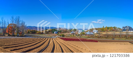 青空バックに見る晩秋の雪のない白山連峰と畑のパノラマ情景 青空バックに見る晩秋の雪のない白山連峰と畑のパノラマ情景 121703386