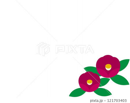 椿 白背景 椿 白背景 121703403