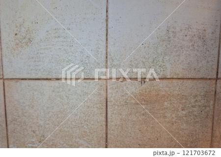 Accumulated dirt on the walls and floor in the bathroom. 121703672