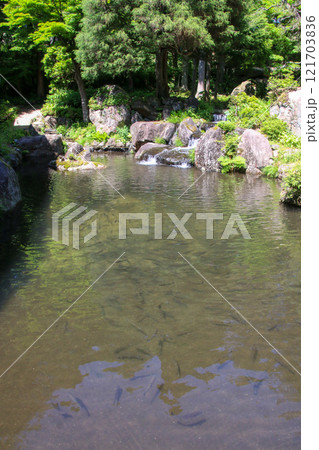 奥津石庭遊園地 121703836