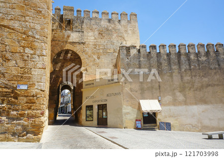 スペインの伝統的な宮殿の囲いを外から見た様子 スペインの伝統的な宮殿の囲いを外から見た様子 121703998