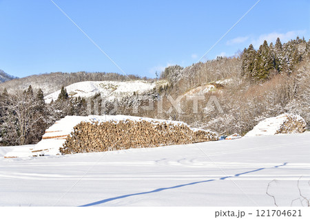冬の北海道八雲町で伐採された材木の風景を撮影 121704621