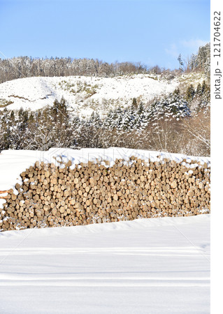 冬の北海道八雲町で伐採された材木の風景を撮影 121704622