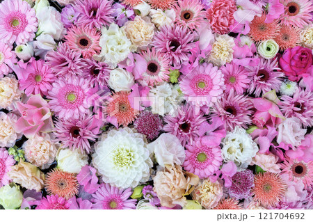 サクラサク 121704692