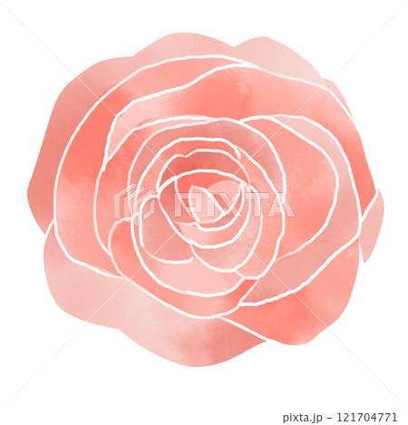 水彩風 真上から見たピンクのバラ 水彩風 真上から見たピンクのバラ 121704771
