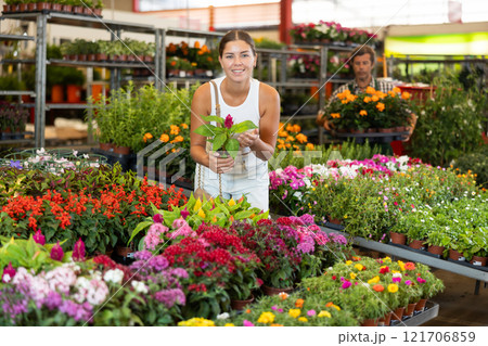 Girl buys and purchase potted celosia plant in flower shop 121706859