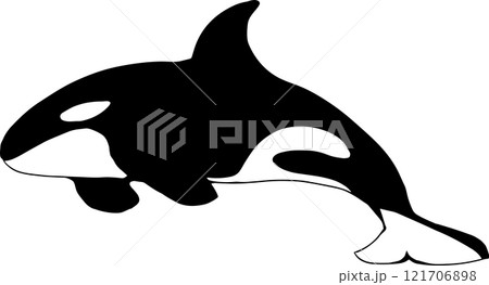 シャチのシルエットイラスト シャチのシルエットイラスト 121706898