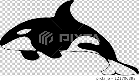 シャチのシルエットイラスト シャチのシルエットイラスト 121706898