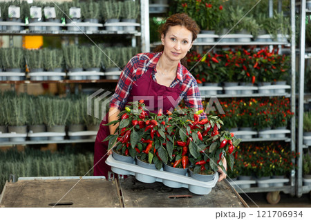 Adult woman holding capsicums in pots 121706934